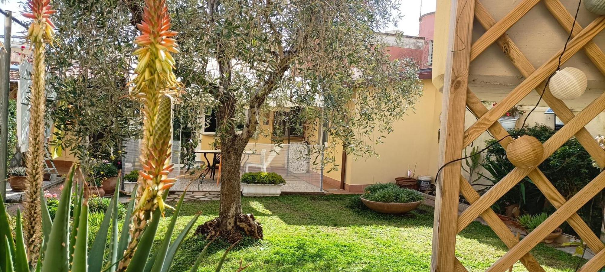 Casa In Giardino Apartman Piombino Kültér fotó